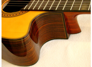 Yamaha GCX31C (7131)