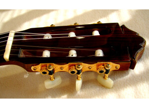 Yamaha GCX31C (64894)
