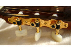 Yamaha GCX31C (2645)