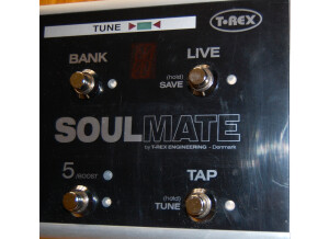 Soulmate 2