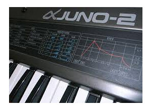 Roland JUNO-2 (24644)