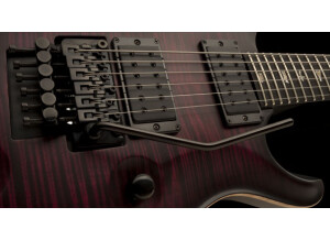 PRS Dustie Waring Limited Edition