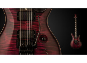 PRS Dustie Waring Limited Edition