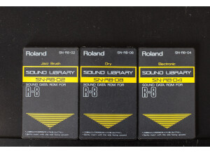 Roland R-8M (29923)