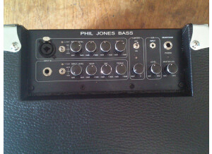 Phil Jones Pure Sound Cub BG-100