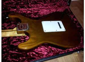 Warmoth Stratocaster (31538)