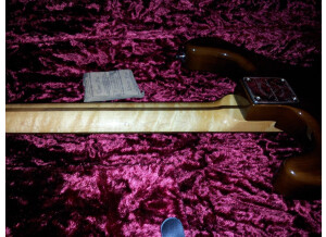 Warmoth Stratocaster (46178)