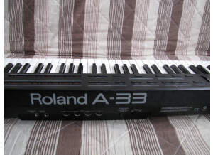Roland A-33 (76594)