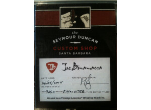 Seymour Duncan Custom Shop Joe Bonamassa Signature (88889)