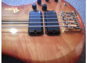 Vigier Passion III 5 Strings (85493)