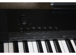 Casio CDP-120 (63605)