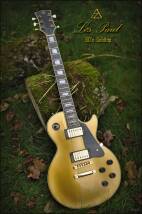Az By Wsl Guitars Les Paul Custom