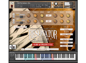 In Session Audio Resonator Guitar: Slide & Fingerstyle