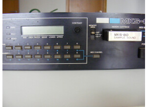 Roland MKS-80 (34456)