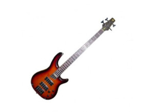 Cort Cort Artisan A4