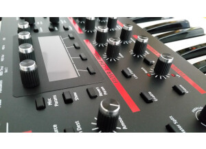 Dave Smith Instruments Pro 2 (7996)