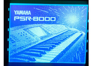 Yamaha PSR-8000 (34666)