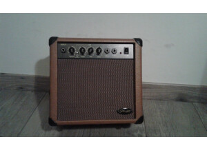 Stagg 10 AA EU