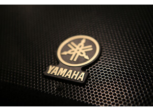 Yamaha AX15M