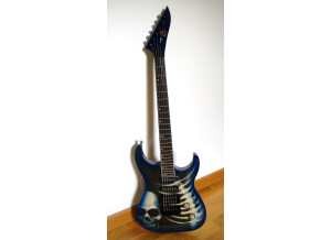 Az By Wsl Guitars blue skull