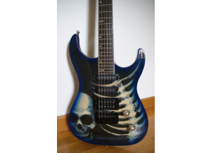 Az By Wsl Guitars blue skull