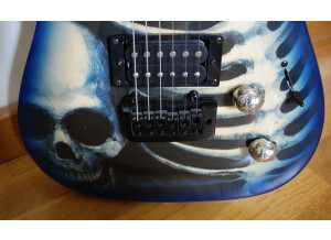 Az By Wsl Guitars blue skull (88095)