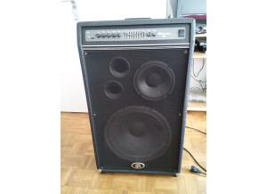 Ampeg B-3158 (8016)