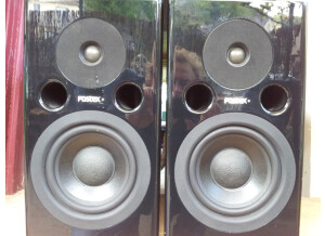 Fostex PM-1 MkII (33162)