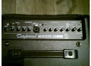 Tanglewood T6 (15437)