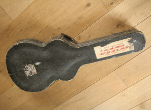 Gibson ES-330TD (51912)