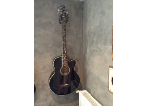 Michael Kelly Guitars Dragonfly 5c (99875)