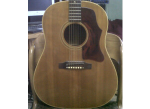 Gibson J50 Vintage (22307)