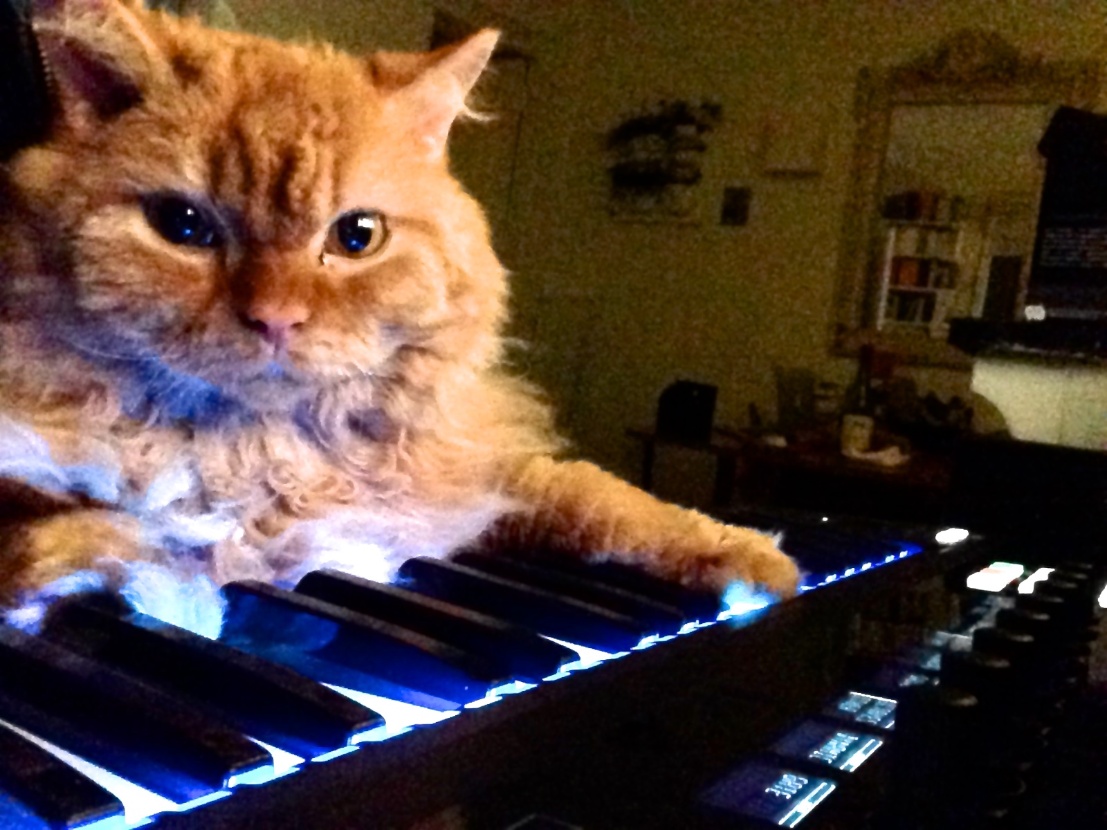 Native Instruments Komplete Kontrol S