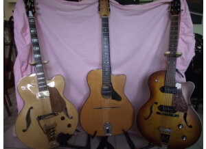 Godin Lot de 3 guitares jazz