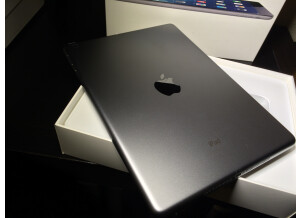 Apple iPad Air (54029)