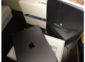 Apple iPad Air (29343)