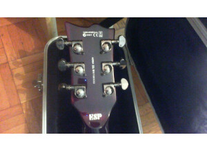 LTD EC-500 - See Thru Black Cherry (51721)