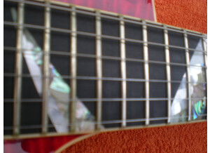 Gibson Les Paul Signature Slash Snakepit