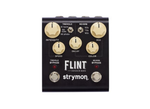Strymon Flint (4322)