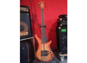 Vigier Bass Vigier Passion III 5 Custom EMG