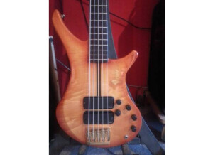 Vigier Bass Vigier Passion III 5 Custom EMG