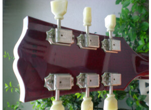 Gibson Les Paul Signature Slash Snakepit