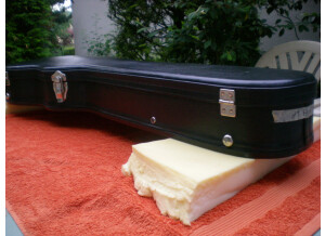 Gibson Les Paul Signature Slash Snakepit