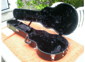 Gibson Les Paul Signature Slash Snakepit