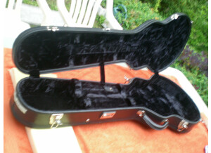 Gibson Les Paul Signature Slash Snakepit