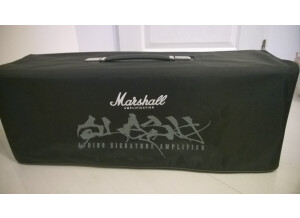 Marshall AFD100 - Appetite For Destruction (73217)