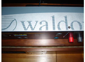Waldorf Pulse (97086)