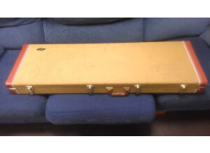 Danelectro DC Bass (34977)