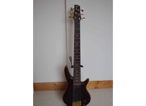Ibanez SR5006E - Oil