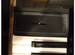 Yamaha CS5 (15139)